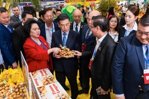 Đột phá tư duy, 'cởi trói' để doanh nhân vươn ra biển lớn