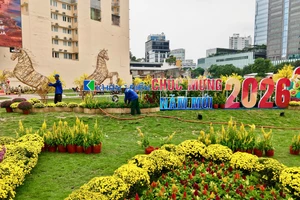 TP.HCM: Không gian đô thị rực rỡ đón Tết