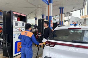 Đảm bảo chất lượng xăng E10, bảo vệ quyền lợi người dùng