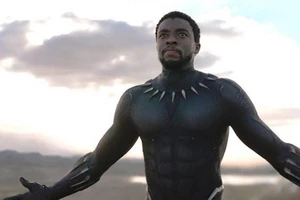 Điểm mặt bốn bộ phim đã thâu tóm Oscar 2019