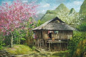 Có những mùa hoa vùng cao đẹp như một giấc mộng