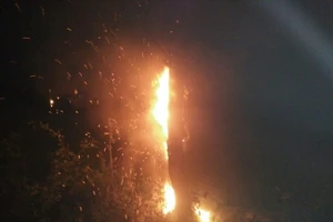 Đốt vỏ xe, treo vào cột cáp quang để… đuổi chuột