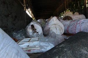 Xe tải chở 100 bao tóp mỡ thối