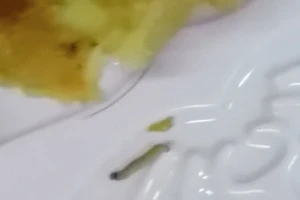 Hoãn xử vụ đăng clip bánh Trung thu có dòi lên Facebook