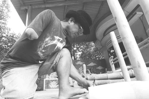 Chùm ảnh: 'Độc thủ' kiếm hàng chục triệu từ gốc tre