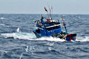 1 tàu cá bị đâm chìm trên biển