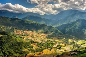 Giải cứu 4 thanh niên bị lừa bán sang Trung Quốc