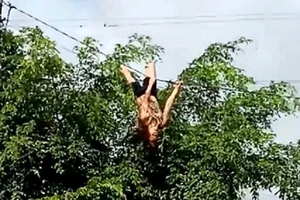 Tin mới về người phụ nữ đu dây điện 