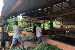 Hai vợ chồng chết bất thường sau tin nhắn cho người nhà