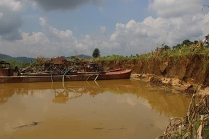 Tạm đình chỉ doanh nghiệp mua đất ruộng để khai thác cát