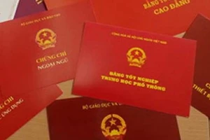 Cách chức nữ chủ tịch xã xài bằng giả