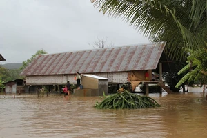 Đắk Lắk: Mưa lớn kéo dài, hơn 300 ngôi nhà ngập nước