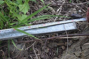 Can ngăn vợ chồng cãi nhau, anh cột chèo bị đánh chết