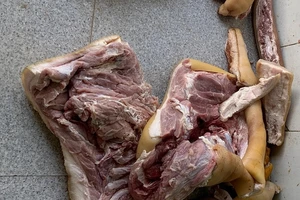 Hô biến thịt heo nái thành thịt bò bằng hóa chất 