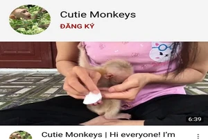 Đăng clip nhốt khỉ câu view, người phụ nữ bị đề nghị xử lý