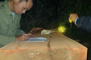 Bị mật phục, 13 người chở gỗ bỏ xe chạy trốn