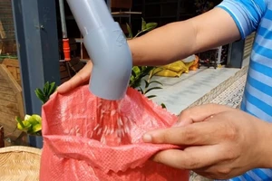 Tây Nguyên có ‘ATM gạo’ đầu tiên cho người nghèo