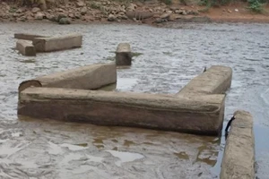 Ao cá cạn nước bày ra 17 mét khối gỗ 