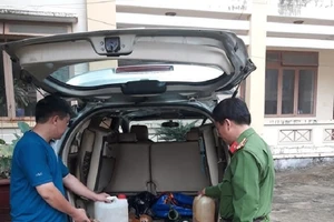 Đi trộm chó bằng ô tô