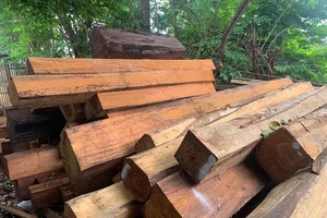 Phát hiện hàng trăm khúc gỗ trong một xưởng ở Gia Lai