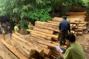 Bắt chủ xưởng mua bán gỗ trái phép ở Gia Lai