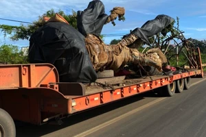 Xe chở cây 'khủng' qua nhiều chốt CSGT trước khi bị tạm giữ