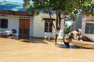 Đắk Lắk: Nhiều nhà dân bị ngập, 1 người mất tích