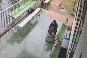 Trộm chim cảnh bán lấy tiền mua ma túy