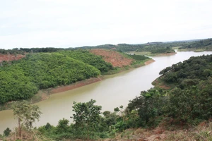 Khai khống đất ngập để nhận hỗ trợ, nhiều người bị khởi tố