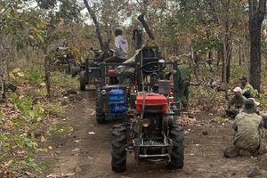 Điều tra vụ điều cả đoàn xe công nông vào rừng cộng đồng
