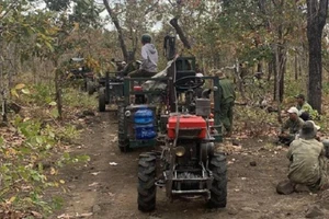 Đề nghị xử lý nghiêm vụ điều cả đoàn xe công nông vào rừng