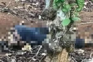 Vụ thi thể trong rẫy: Nạn nhân tử vong khoảng 20 ngày