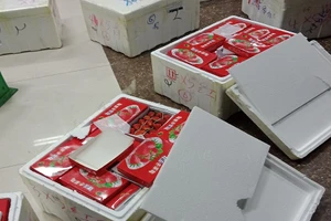 Dâu tây trong thùng xốp ghi chữ Trung Quốc 'bay' vào Đà Lạt