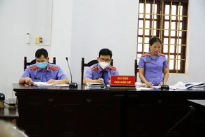 Vụ Trịnh Sướng: VKS bác quan điểm 'chỉ bị xử phạt hành chính'