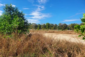 Nguyên Trưởng phòng Tài nguyên và môi trường huyện Đắk Hà bị bắt