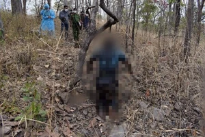 Vụ thi thể trong vườn điều: Khởi tố người vợ và nhân tình 