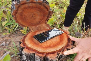 Vụ phá gần 400 ha rừng Đắk Lắk: Lãnh đạo xã tự nhận kỷ luật cách chức