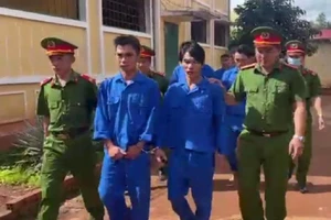 Tạm giữ nhóm người thuê ô tô đi trộm mèo