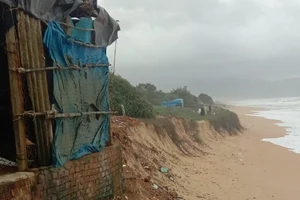 Bình Định: Sạt lở bờ biển, sơ tán khẩn 20 hộ dân 