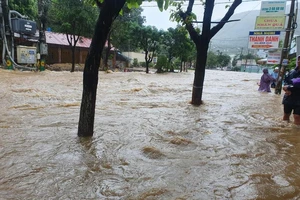 Bí thư Bình Định: 'Sống sát biển mà cứ mưa là ngập thì không chấp nhận được'