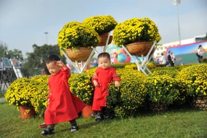 Người dân phố biển Quy Nhơn háo hức check-in tại quảng trường hoa