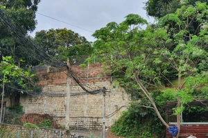 Bình Định: Xử lý làm gương cán bộ, đảng viên xây dựng trái phép