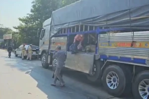 Lập biên bản tài xế ô tô tải chở 7 người trong thùng xe