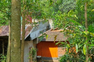 Bình Định: Sẽ cưỡng chế hàng loạt nhà ở vi phạm tại phường Quang Trung