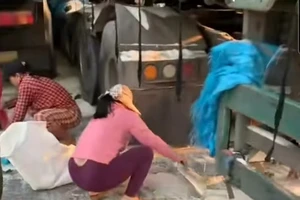 Sự thật các clip người dân ‘hôi của’ xe chở gạo ở Bình Định