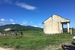 Cụ ông 87 tuổi nghi bị người mắc bệnh tâm thần đánh chết