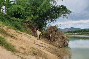 Bình Định lập đề án đánh giá tổng thể tình hình sạt lở bờ sông Hà Thanh
