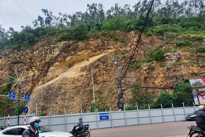 Chuyển đổi gần 1 ha rừng để khắc phục sạt lở núi Bà Hoả