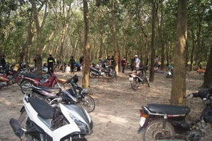 Bình Dương: Vứt đồ đánh bạc, chạy tán loạn trong rừng cao su