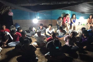 Đột kích ổ bạc giữa vườn tràm ở Bình Dương